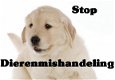 Honden kunnen gebruikt, gekocht worden voor hondengevechten! - 7 - Thumbnail