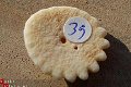#39 Echinocorus Heliophora sp Leuk zee egeltje - 1 - Thumbnail