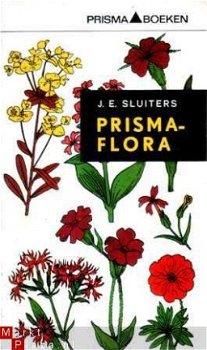 Prisma-flora - 1