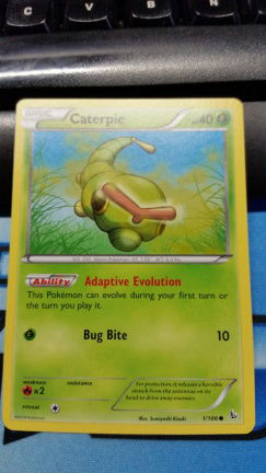 Caterpie 1/106 XY Flashfire - nr. 1