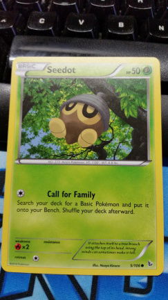 Seedot 5/106 XY Flashfire - nr. 1