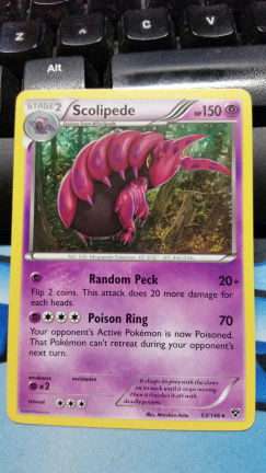 scolipede 53/146 XY Base - nr. 1