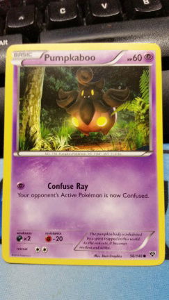 pumpkaboo 56/146 XY Base - nr. 1