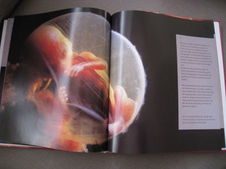 Baby - Lennart Nilsson - Afbeelding 3