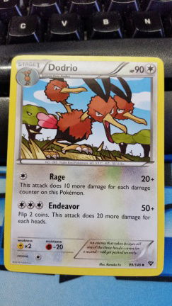 dodrio 99/146 XY Base - nr. 1