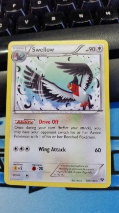 Swellow Rare 103/146 XY Base - nr. 1