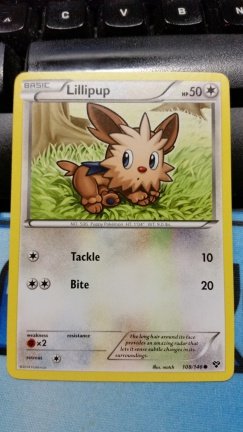 lillipup 108/146 XY Base - nr. 1