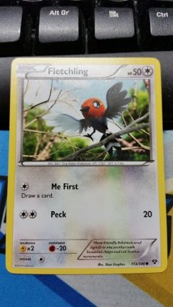 fletchling 113/146 XY Base - nr. 1