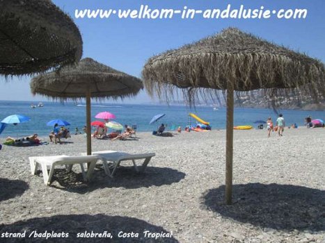andalusie, vakantiewoning in zuid spanje met prive zwembad - 4