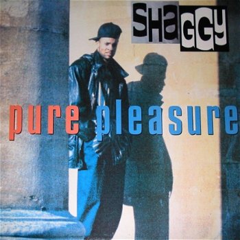 Shaggy - Pure Pleasure - 1