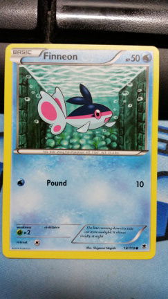 Finneon 18/119 XY Phantom Forces - nr. 1