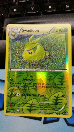 Swadloon 6/119 (reverse foil) XY Phantom Forces - nr. 1