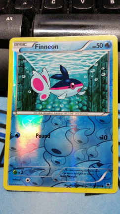 Finneon 18/119 (reverse foil) XY Phantom Forces - nr. 1