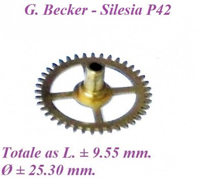 Onderdeel = Gustav Becker Silesia P42 = 28103 - 0