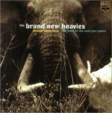 CD The Brand New Heavies ‎– Dream Come True - The Best Of The Acid Jazz Years