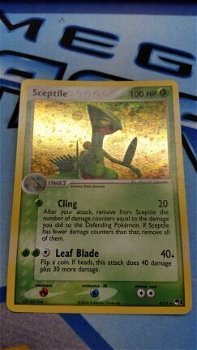 Sceptile holo 4/17 pop1 nm - 1