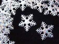 Glinsterende sneeuwvlok ~ 2,5 cm ~ Zilver