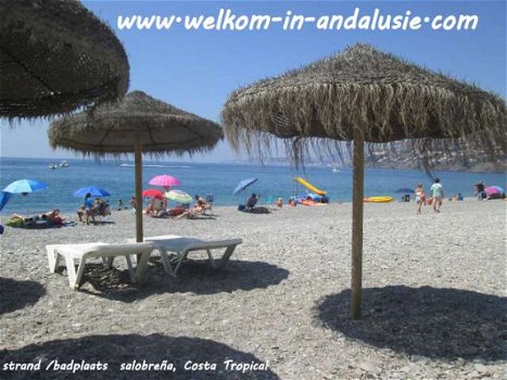 vakantieverblijf in spanje met zwembad andalusie - 3