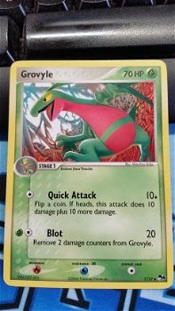 Grovyle 7/17 pop4 - 1