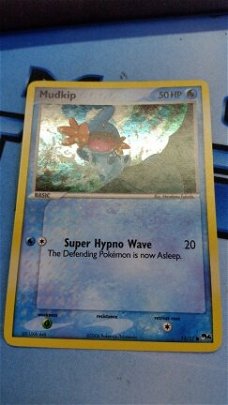 Mudkip  holo 11/17 pop4 nearmint nr2