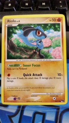 Riolu 16/17 pop8