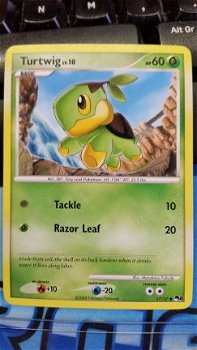 Turtwig 17/17 pop8 - 1