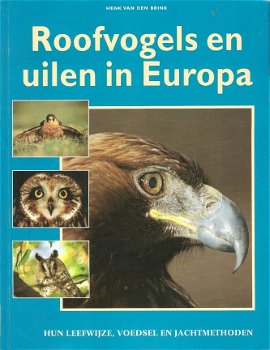 Roofvogels en Uilen in Europa - 1
