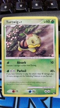 Turtwig 17/17 pop9 - 1