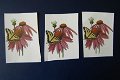 nr.35 SETJE 3d PLAATJES bloem / vlinder - 1 - Thumbnail