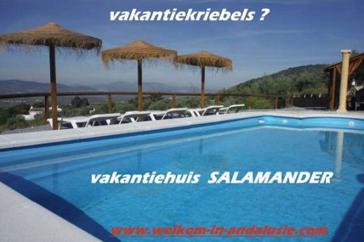 vakantievilla huren in Andalusie spanje - 1