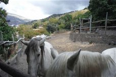 vakantie spanje andalusie, huisjes huren, wandelroutes