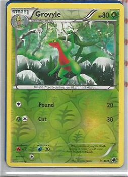 Grovyle - 7/116 ( reverse foil ) BW Plasma Freeze - 1