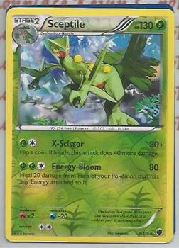 Sceptile holo 8/116 ( reverse foil ) BW Plasma Freeze - 1