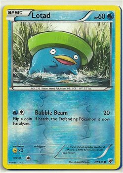 Lotad - 29/135 (reverse foil) BW Plasma Storm - 1