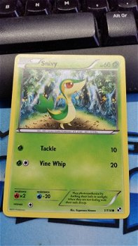 Snivy - 1/114 Black and White - 1