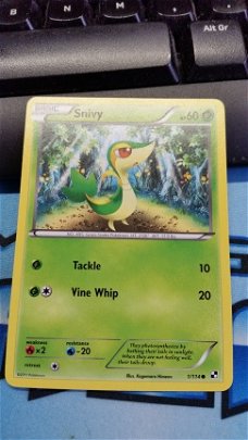 Snivy - 1/114  Black and White