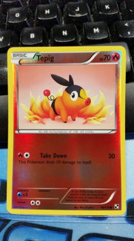 Tepig - 16/114 (reverse foil) Black and White - 1