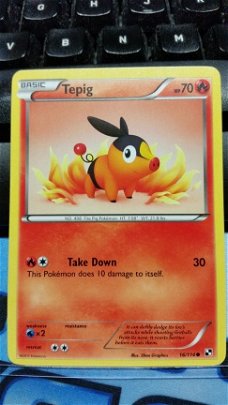 Tepig - 16/114 Black and White