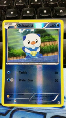 Oshawott - 27/114 (reverse foil) Black and White