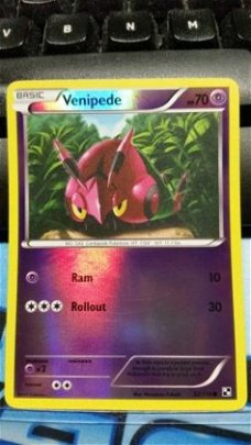 Venipede - 52/114 (reverse foil) Black and White nearmint