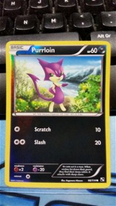 Purrloin - 66/114 (reverse foil) Black and White