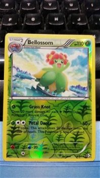 Bellossom 4/149 Rare (reverse foil) BW Boundaries Crossed - 1