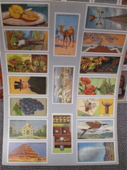 An Album of Cigarette Cards History & General Knowledge Make youw own album - 3