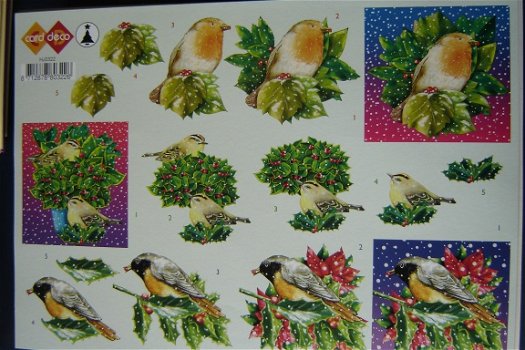 51 KERST knipvel a4 ...vogels NU €0,15 per vel - 1