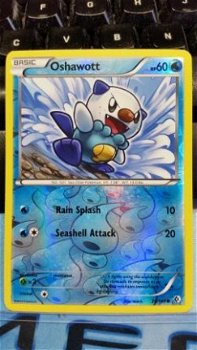 Oshawott 39/149 (reverse foil) BW Boundaries Crossed - 1