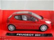 DSCN9195 Peugeot 207 1/43 - 1 - Thumbnail