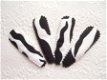 5 cm ~ Zwart/wit zebra kniphoesje - 1 - Thumbnail