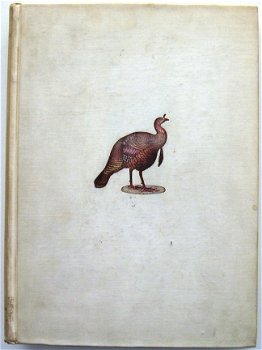 The Gallinaceous Game Birds of North America 1897 Nr. 82/100 - 1