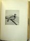 The Gallinaceous Game Birds of North America 1897 Nr. 82/100 - 5 - Thumbnail