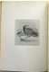 The Gallinaceous Game Birds of North America 1897 Nr. 82/100 - 6 - Thumbnail